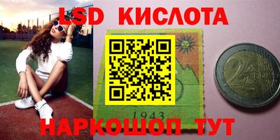 крисы Кинель