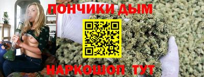 крисы Кинель