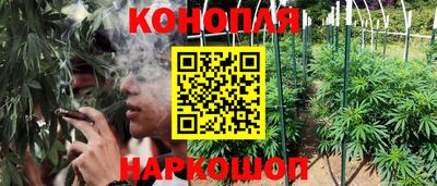 бошки Кимры