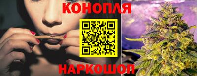 шишки Кингисепп