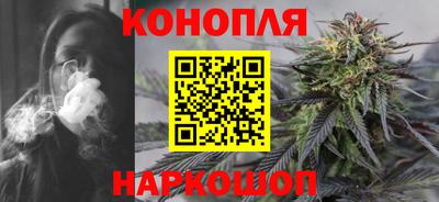 шишки Кингисепп