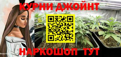 шишки Кингисепп