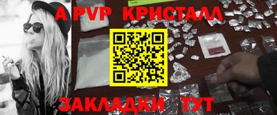 шишки Кингисепп