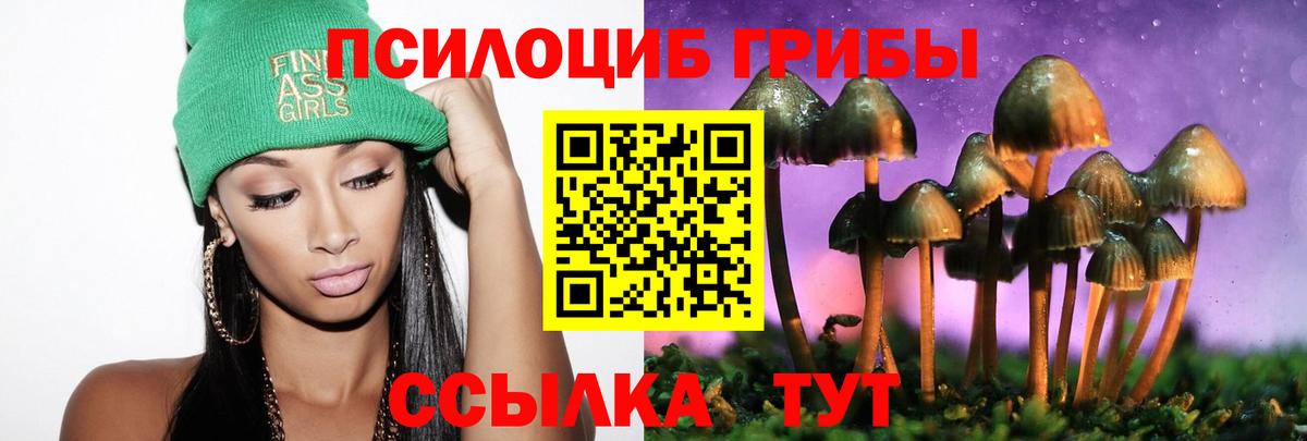 сколько стоит  Вход с VPN  Псилоцибиновые грибы Magic Shrooms  Шарыпово  Псилоцибиновые грибы мухоморы 